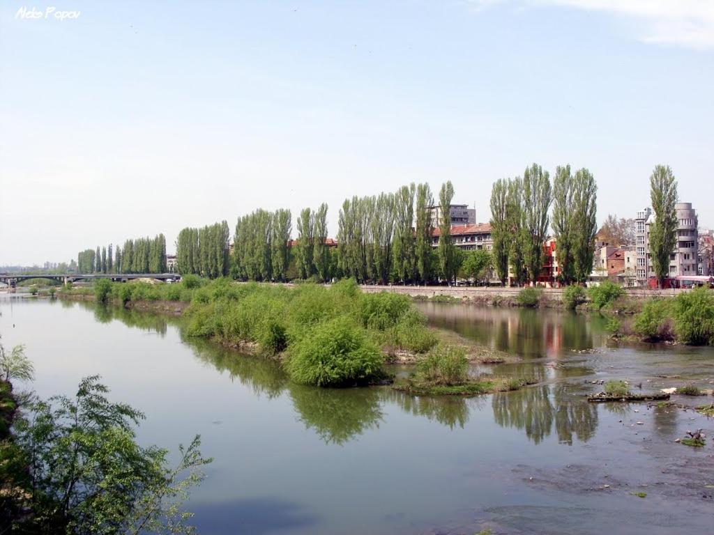 Riverside Apartments Plovdiv With Free Parking Exteriör bild